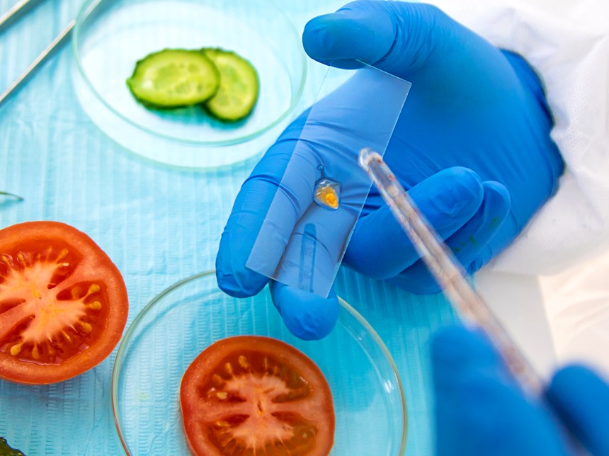 Análisis de inocuidad de muestras de producto en laboratorio