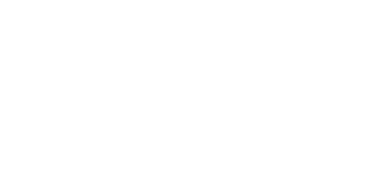 SGM Training